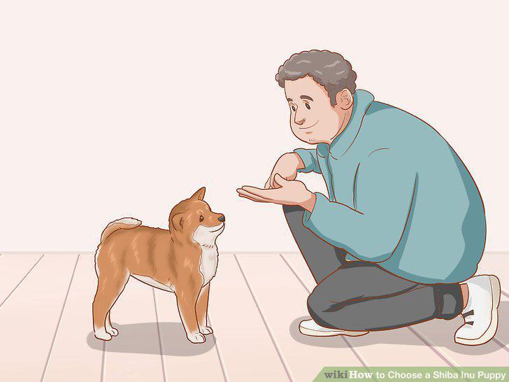 Step 16