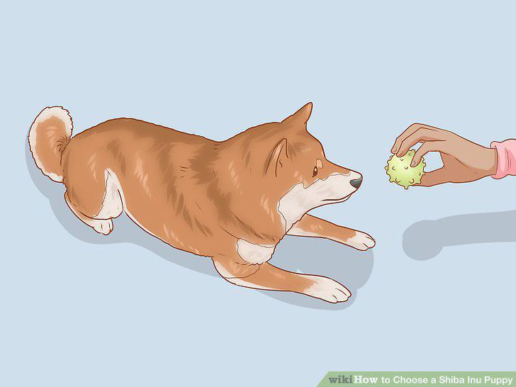 Step 18