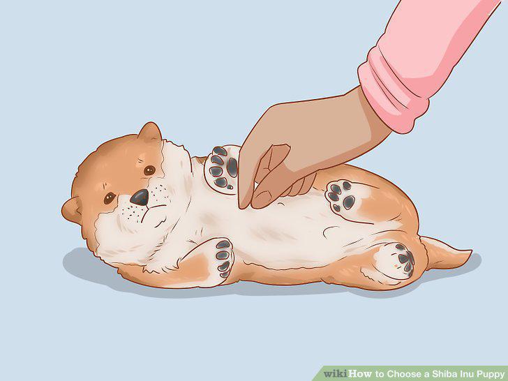 Step 19
