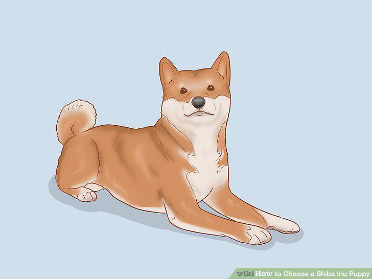 Step 8
