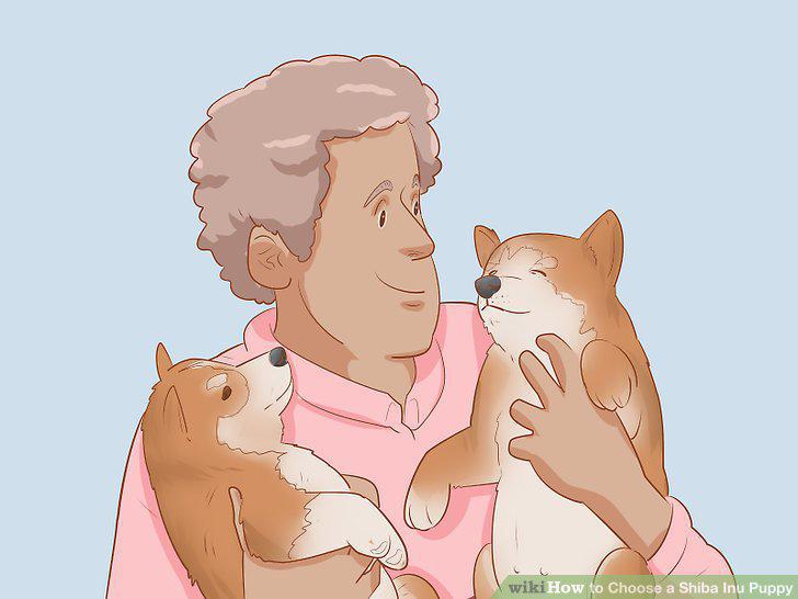 Step 10