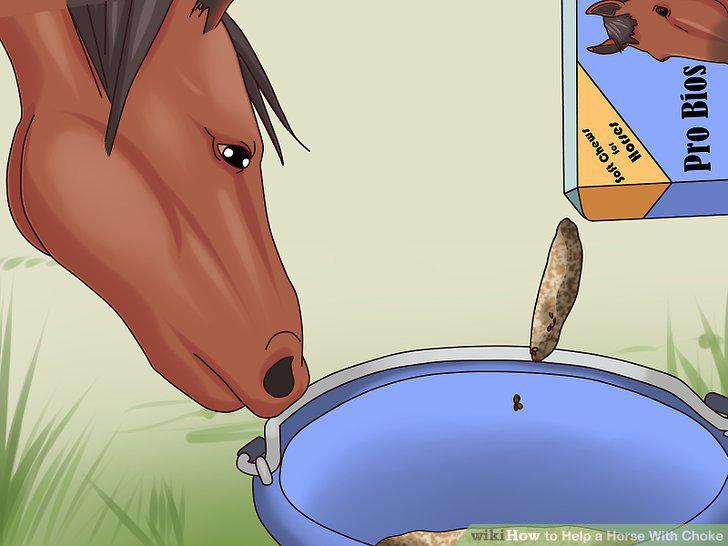 Step 11