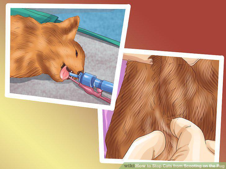 Step 5
