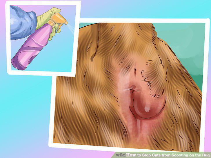 Step 7