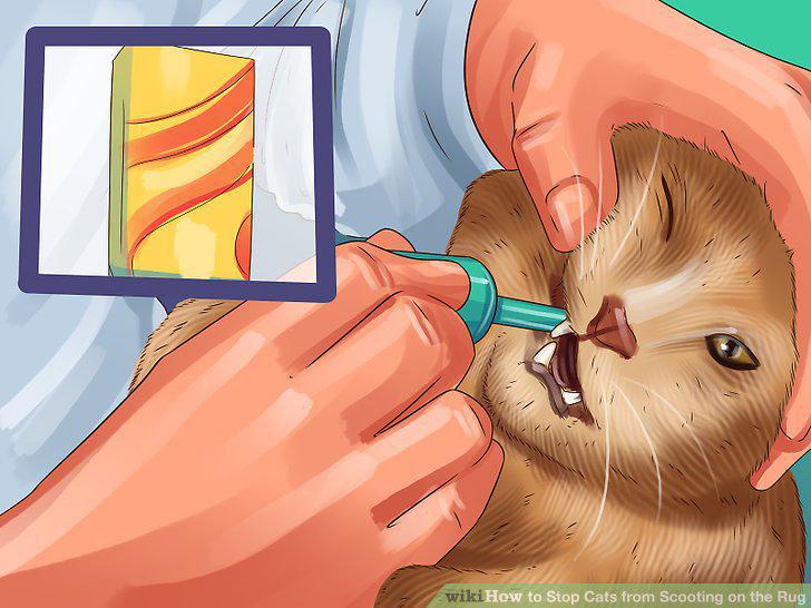 Step 10