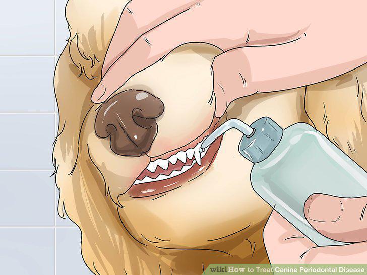 Step 11