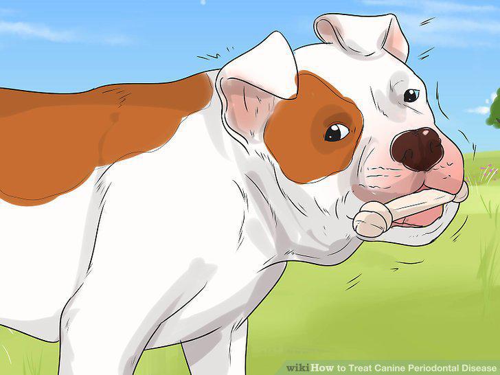Step 12