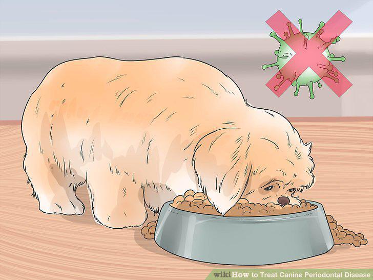 Step 13