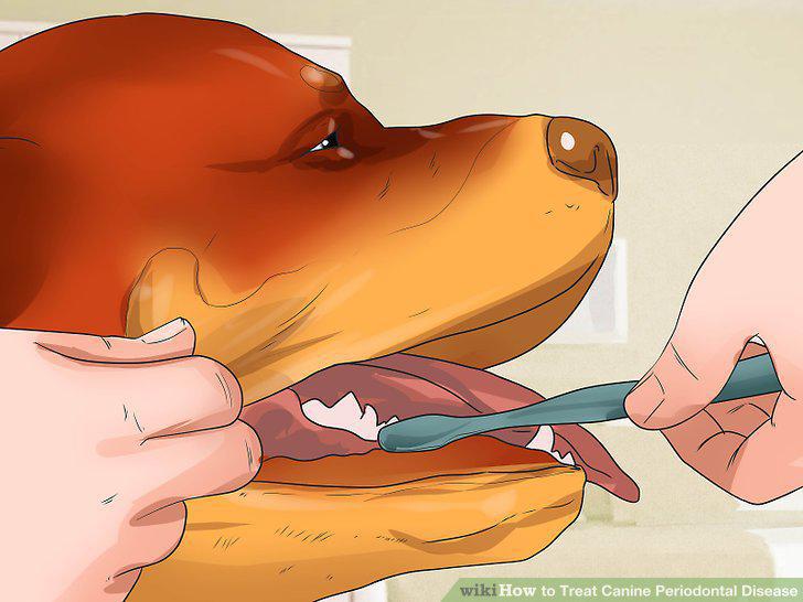 Step 10