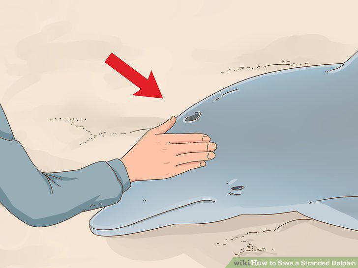 Step 11