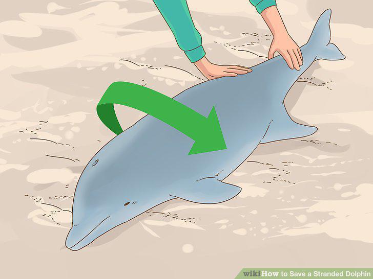 Step 12