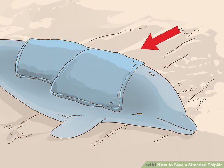 Step 13