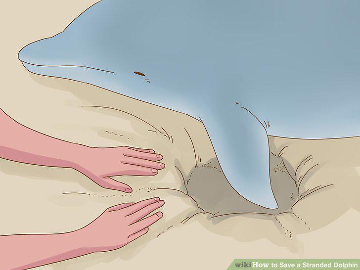 Step 15