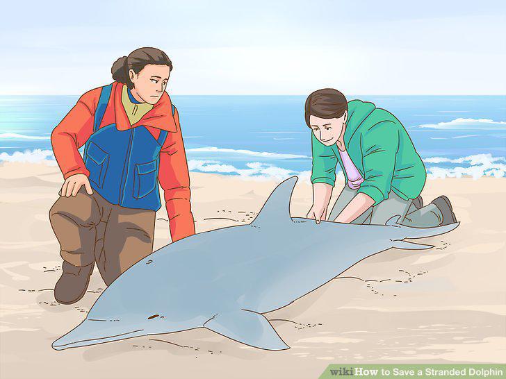 Step 16