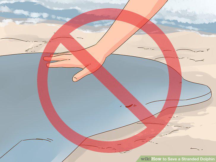 Step 7