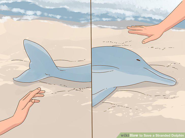 Step 9