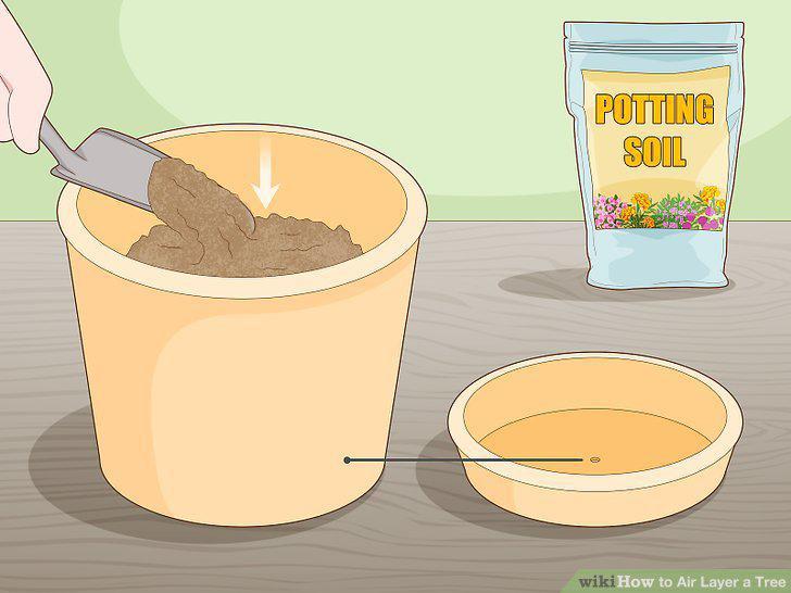 Step 12