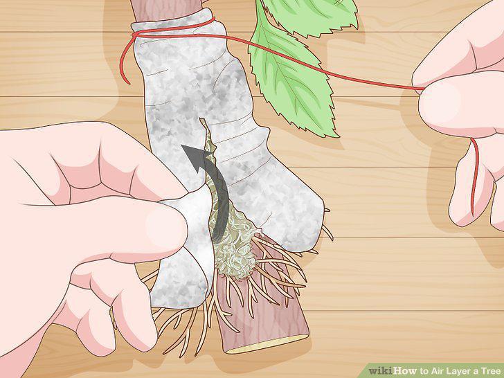 Step 14