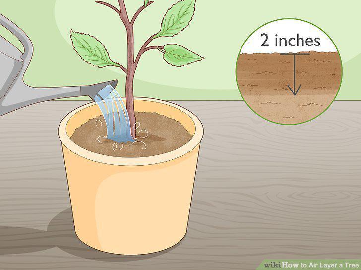 Step 16