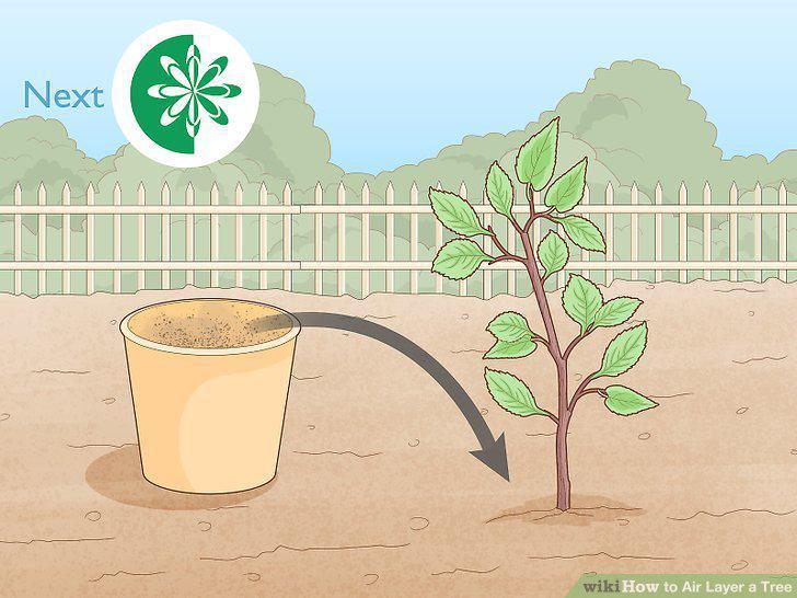 Step 18