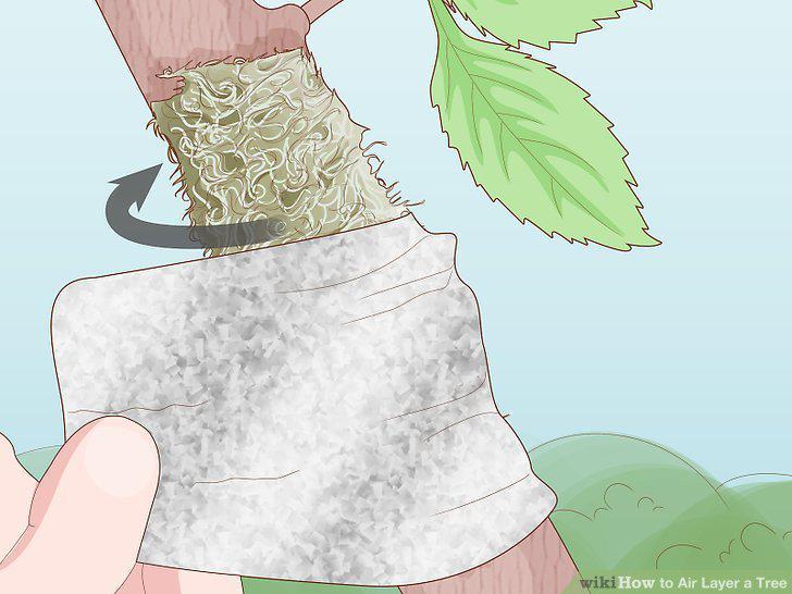 Step 10
