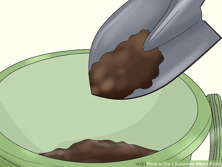 Step 11
