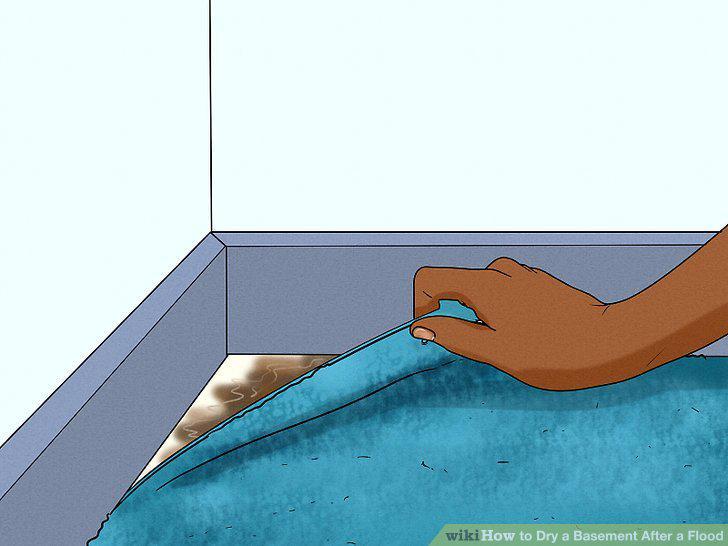 Step 12