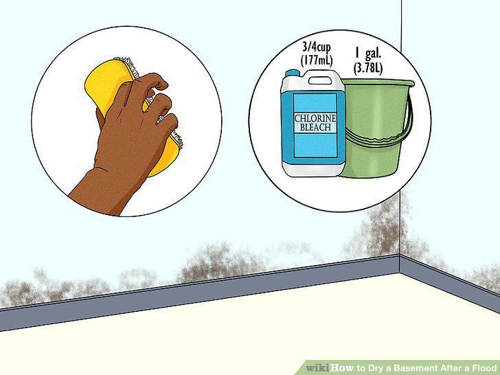 Step 16