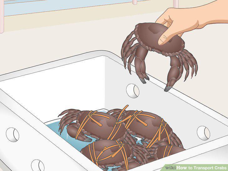 Step 11