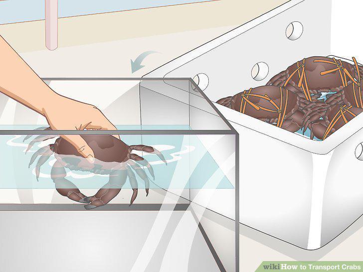 Step 12
