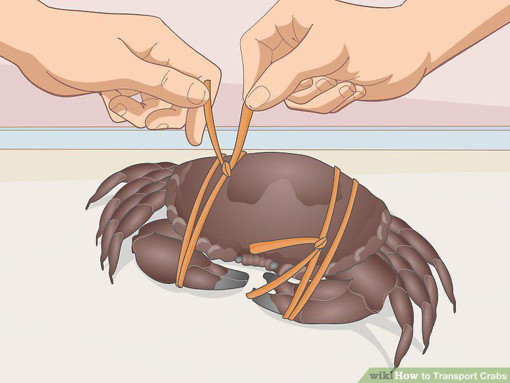 Step 4