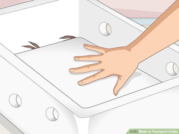 Step 8