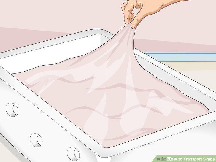 Step 9