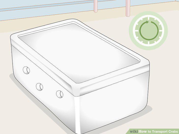 Step 10