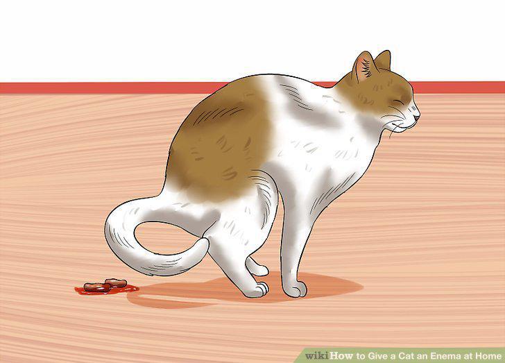 Step 11