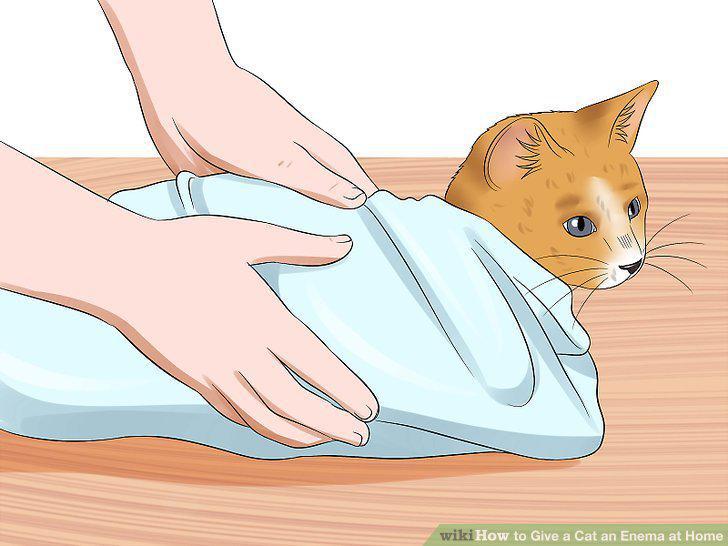 Step 8