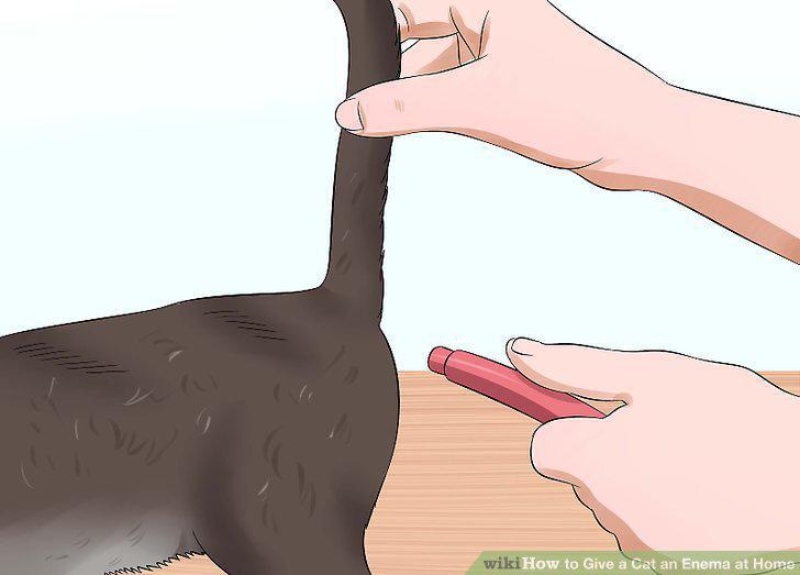 Step 9