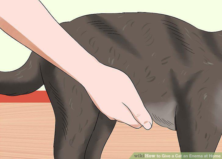 Step 10