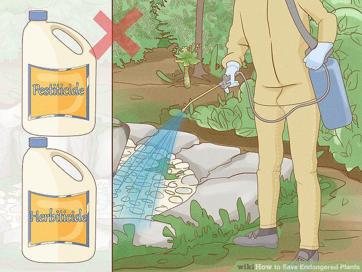 Step 10