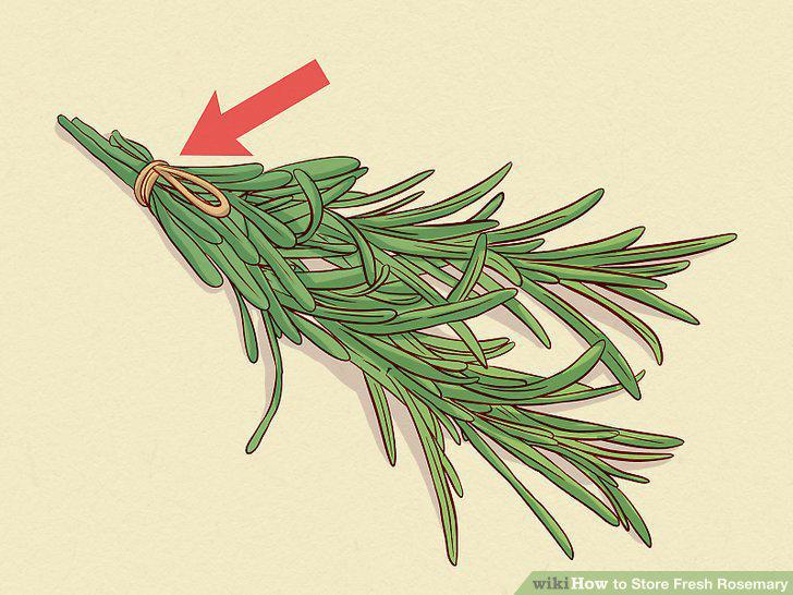 Step 12