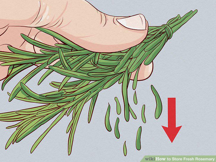 Step 14