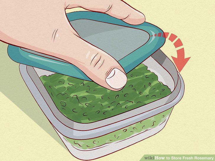 Step 15