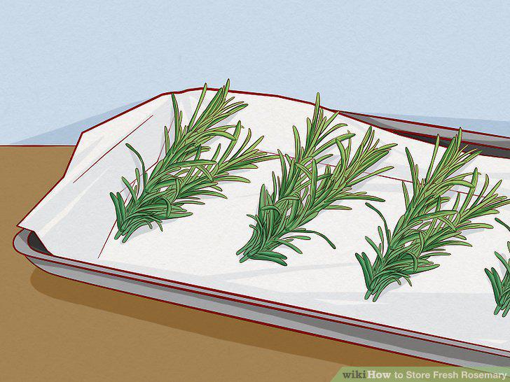 Step 17