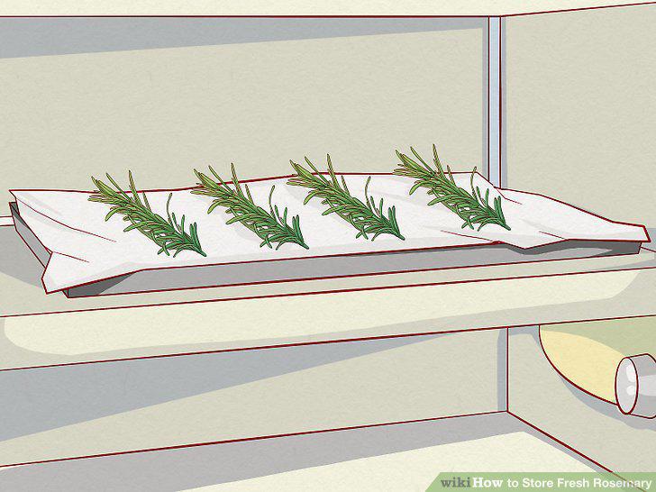 Step 7