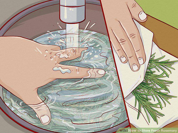 Step 10