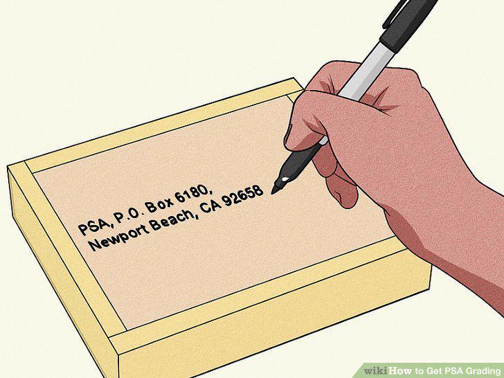 Step 15