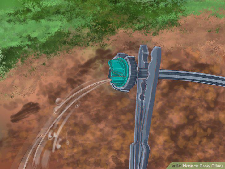 Step 11