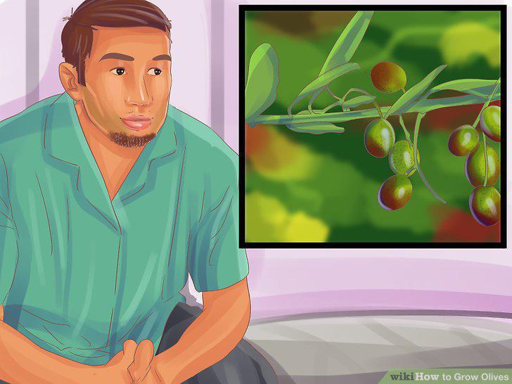 Step 17