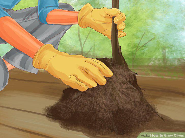 Step 9