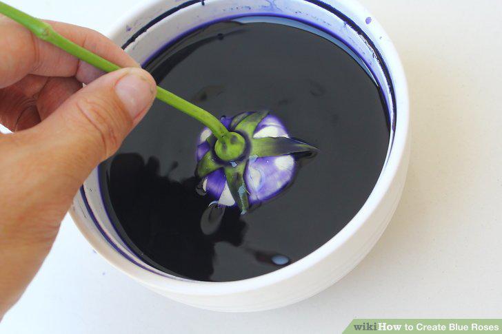 Step 12
